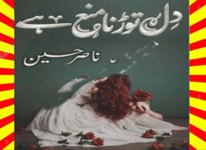 Read more about the article Dil Torna Mana Hai Urdu Novel By Nasir Hussain