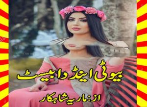 Read more about the article Beauty And The Beast Urdu Novel By Maria Shahkar