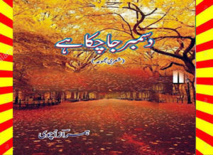 Read more about the article December Ja Chuka Hai Poetry Urdu Novel By Humraz Ochvi