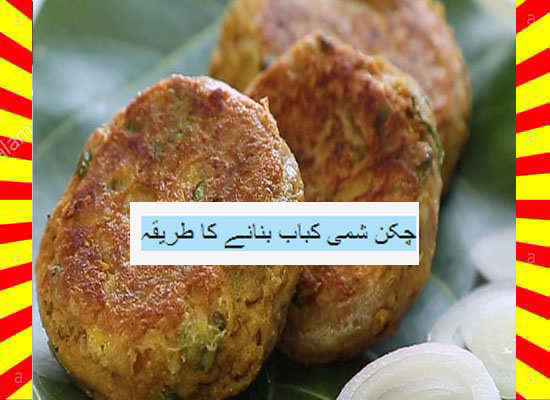 How To Make Chicken Shami Kabab Recipe Hindi and English