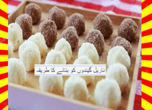 Read more about the article How To Make Coconut Balls Recipe Urdu and English