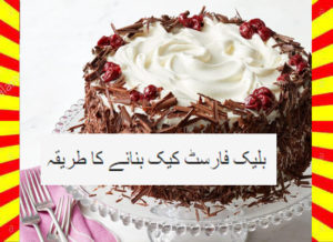 Read more about the article How To Make Black Forest Cake Recipe Urdu and English