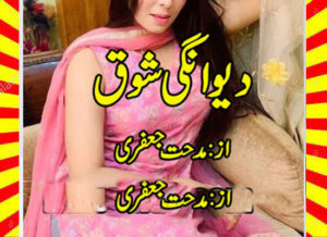 Read more about the article Deewangi E Shouq Urdu Novel By Midhat Jaffery Episode 2