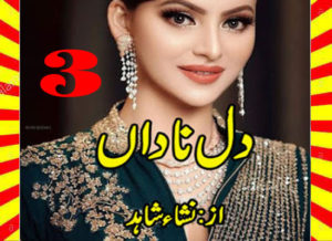 Read more about the article Dil E Nadan Urdu Novel By Nisha Shahid Part 3