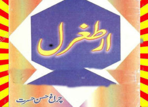 Read more about the article Ertugrul Ghazi Biography Urdu Novel By Chiragh Hasan Hasrat