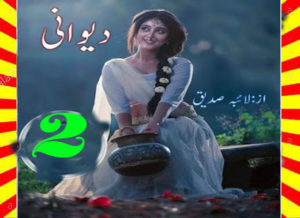 Read more about the article Deewani Urdu Novel By Laiba Siddique Episode 2