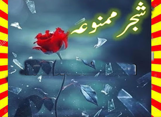 Shajar E Mamnooha Urdu Novel By Yaman Aslam
