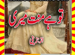 Read more about the article Tu Hai Mannat Meri Urdu Novel By Zaini