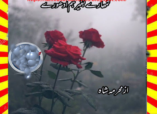 Tumhary Bagher Hum Adhoory Urdu Novel By Mehrmah Shah Episode 3