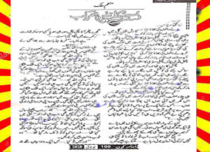 Read more about the article Assi Kally Kharab Nahin Urdu Novel By Munam Malik
