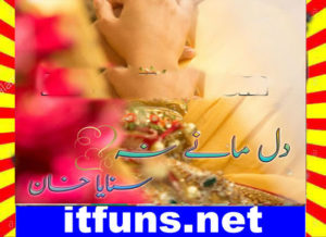 Read more about the article Dil Many Na Urdu Novel By Sanaya Khan