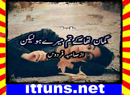 Guman Tha K Tum Mery Ho Lakin Urdu Novel By Sahiba Firdous