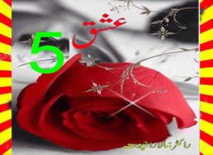 Read more about the article Ishq Urdu Novel By Mala Rajpoot Episode 5
