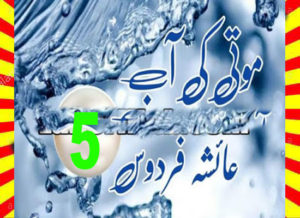 Read more about the article Moti Ki Aab Urdu Novel By Ayesha Firdous Episode 5