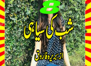 Read more about the article Shab Ki Siyahi Urdu Novel By Bareerah Farooq Episode 8