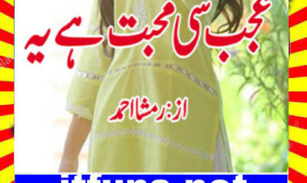 Ajab Si Muhabbat Hai Yeh Urdu Novel By Ramsha Ahmed