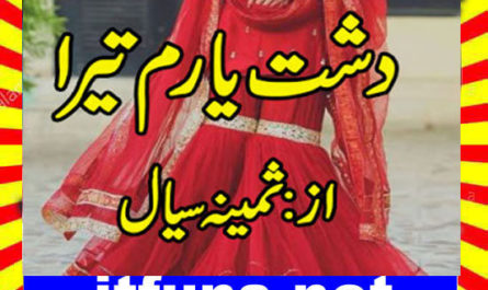 Dasht E Yaram Tera Urdu Novel By Samina Seyal