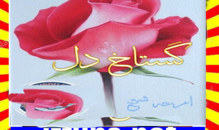 Gustakh Dil Urdu Novel By Amrah Sheikh
