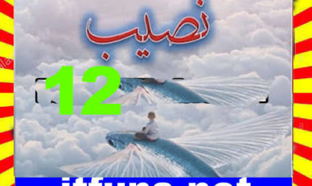 Naseeb Urdu Novel By Biya Talhat Episode 12
