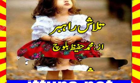 Talaash E Rehbar Urdu Novel By Muhammad Hafeez Baloch