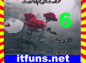 Read more about the article Tumhary Bagher Hum Adhoory Urdu Novel By Mehrmah Shah Episode 6