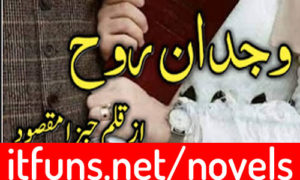 Read more about the article Wajdan e Rooh by Habza Maqsood Complete Novel
