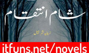 Read more about the article Sham E Inteqam By Zeenia Sharjeel Complete Novel