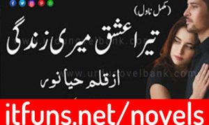 Read more about the article Tera Ishq Meri Zindagi by Haya Noor Complete Novel