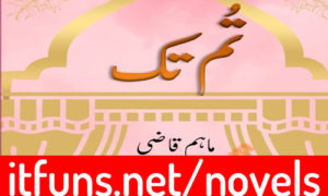 Read more about the article Tum Tak by Maham Qazi Romantic Novel
