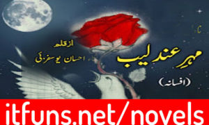 Read more about the article Mehar e Andleeb by Sana Ehsan Yousuf Zai Complete  Afsana