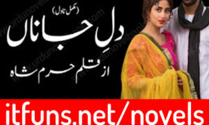 Read more about the article Dil e Jana by Haram Shah Complete Novel