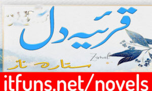 Read more about the article Wo Meri Pakiza Mohabbat Hai by Hurain Fatima Complete Novel
