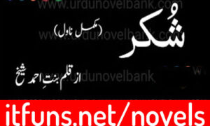 Read more about the article Shukar by Bint e Ahmad Sheikh Complete Novel