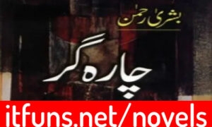Read more about the article Chara Gar Novel By Ibrahim Abdul Hadi Complete Novel