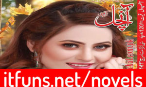 Read more about the article Aanchal Digest February 2024 Read Online