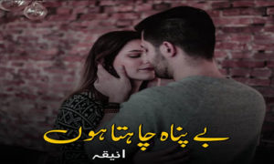 Read more about the article Bepanah Chahta Hon Romantic Novel By Aneeqa