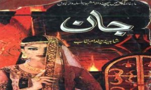 Read more about the article Jaan Complete Novel By Shaheena Chanda Mehtab Pdf