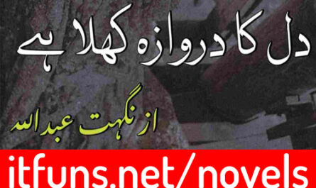 Dil Ka Darwaza Khula Hai By Nighat Abdullah Complete Novel