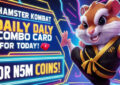 Today Hamster Kombat Combo New Cards