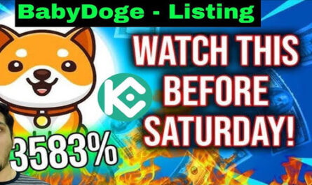 Baby Doge Coin Today Big Pump