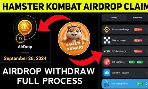 Hamster Kombat Withdraw Binance Exchange With KYC