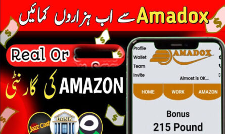 Amadox New Earning Apk App Download