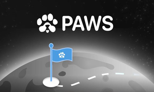 PAWS Airdrop Complete Review And Listing Date