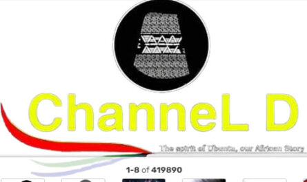 Channel D Channel Watch Live TV Channel From Zimbabwe