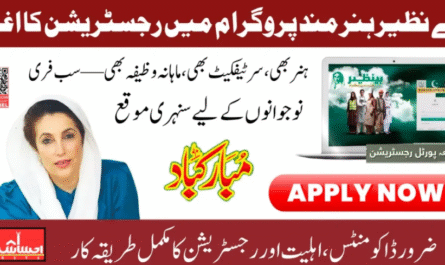 Benazir Hunarmand Program Registration Online