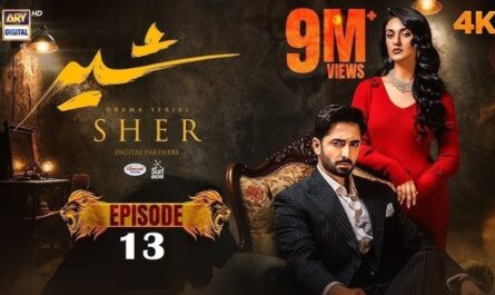 Sher ARY Digital Drama Episode 13